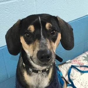 Meet your Posher, Deborah